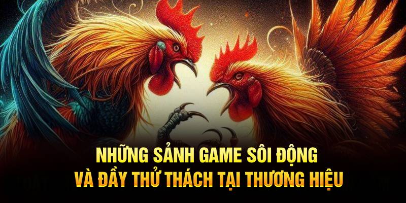 Những sảnh game sôi động và đầy thử thách tại thương hiệu